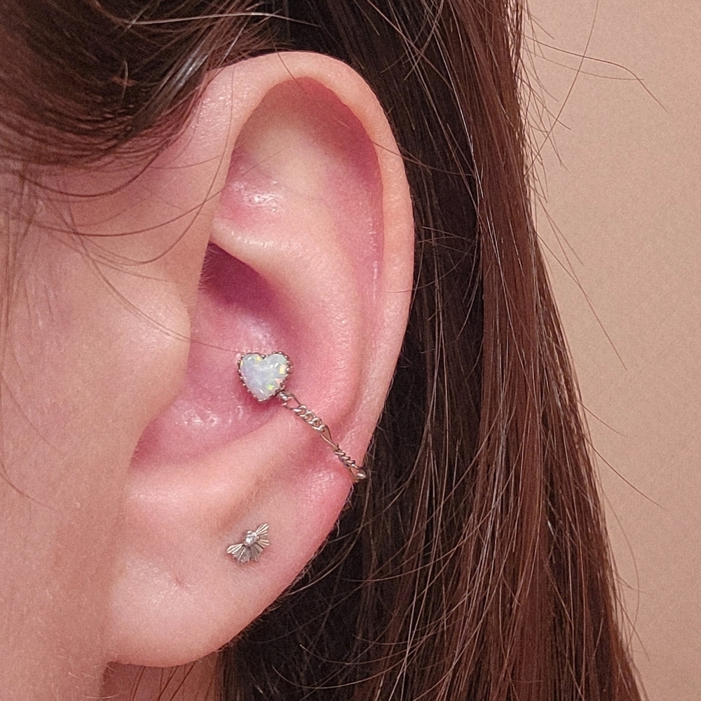 Anatometal Heart End - Picture 5 of 5